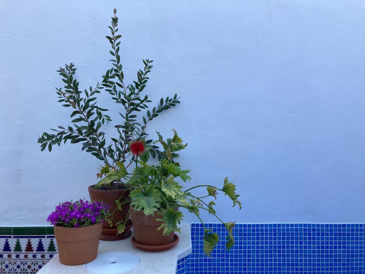 Casa Clemente 32, Private House With Plunge Pool Apartamento Málaga Exterior foto