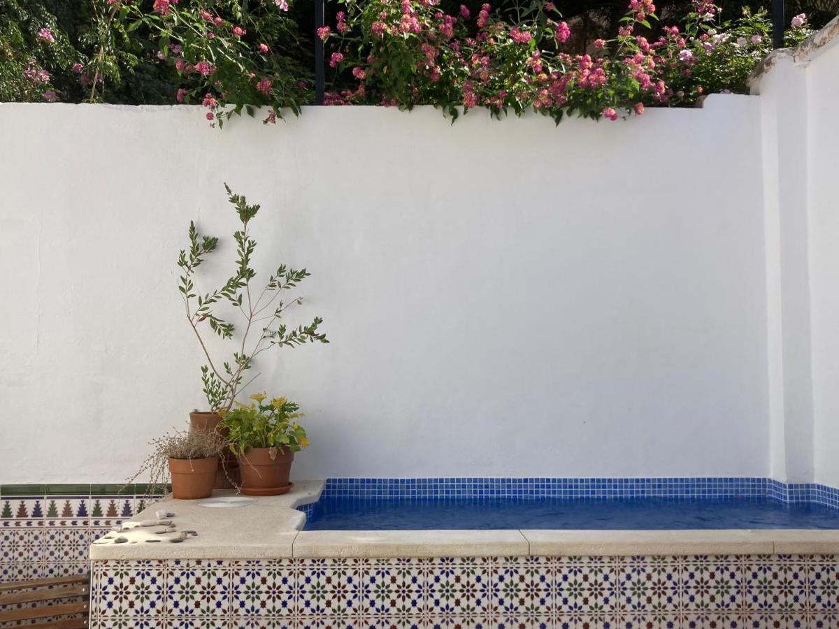 Casa Clemente 32, Private House With Plunge Pool Apartamento Málaga Exterior foto